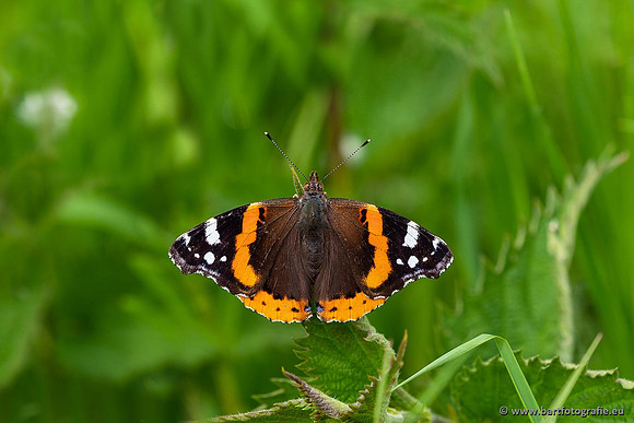 Zeeland, mei 2021-67