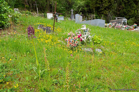 Ariège, Frankrijk, mei 2022, Bart Fotografie-038