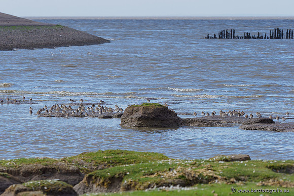 Friesland september 2020 Bart Fotografie-040