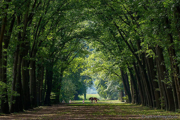 Achterhoek augustus 2020 Bart Fotografie-058