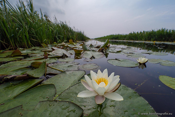 Sloten, Friesland juli 2021-137
