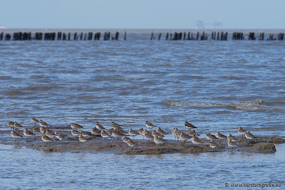 Friesland september 2020 Bart Fotografie-043