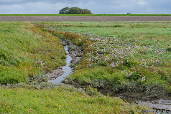 Friesland september 2020 Bart Fotografie-104