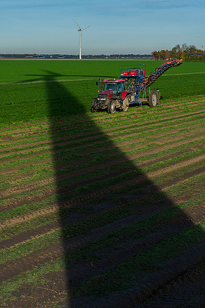 Worteloogst 061118-20
