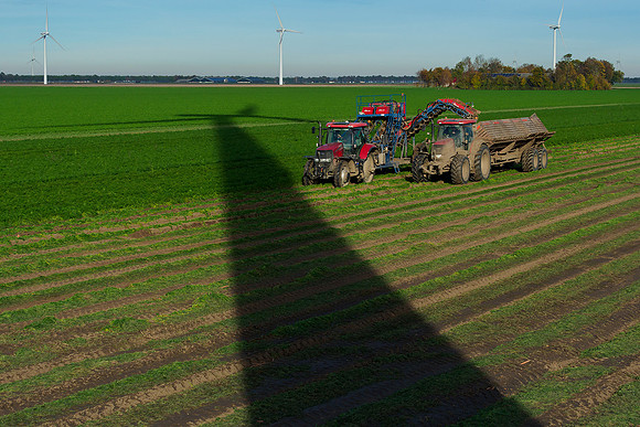 Worteloogst 061118-21