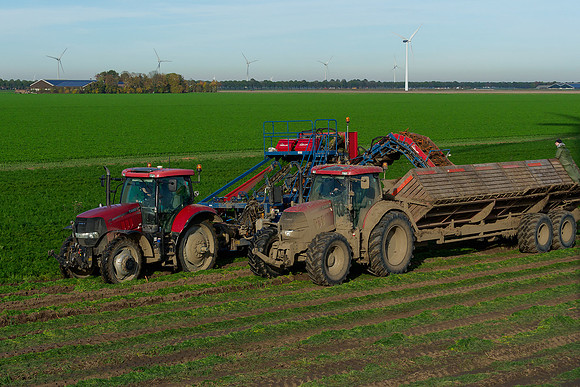 Worteloogst 061118-22