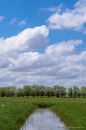 Akker en Weide Bart Fotografie-151