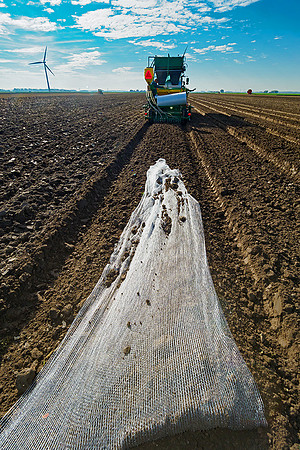 De Wit Bloembollen Bart Fotografie 181018-039