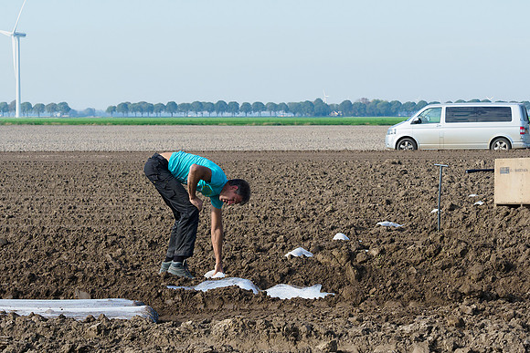 De Wit Bloembollen Bart Fotografie 181018-041