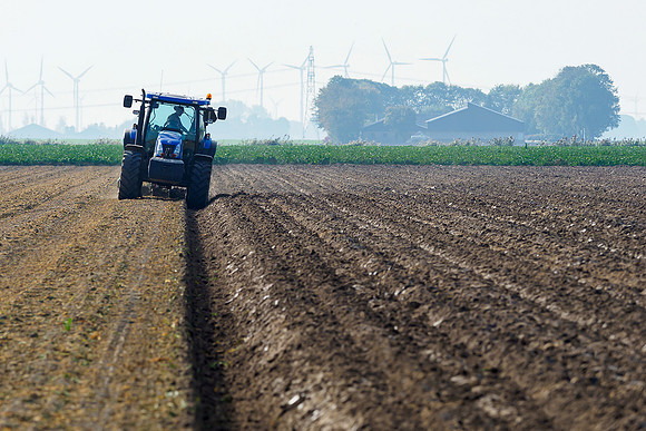 De Wit Bloembollen Bart Fotografie 181018-044