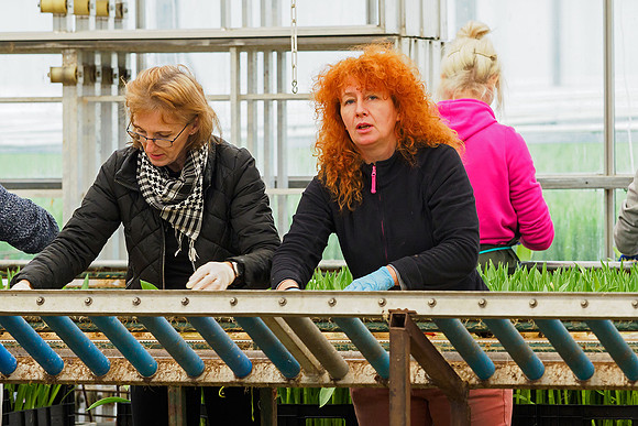 De Wit Bloembollen Bart Fotografie 230119-024