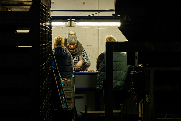 De Wit Bloembollen Bart Fotografie 230119-065