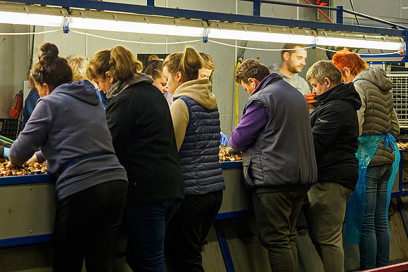 De Wit Bloembollen Bart Fotografie 230119-066