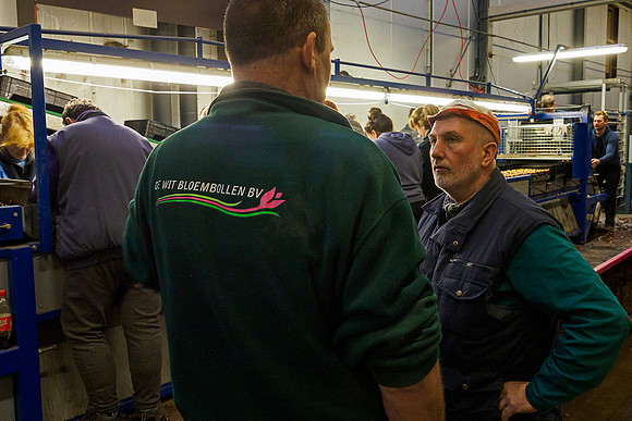 De Wit Bloembollen Bart Fotografie 230119-077
