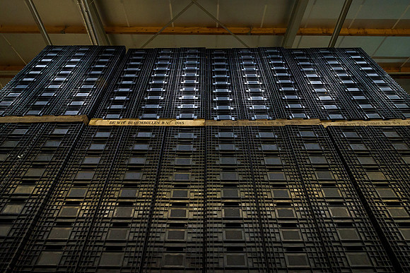 De Wit Bloembollen Bart Fotografie 230119-129