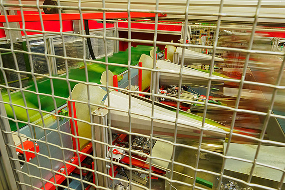 De Wit Bloembollen Bart Fotografie 230119-134