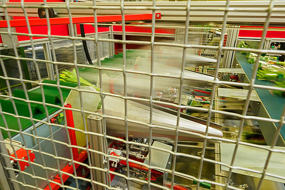De Wit Bloembollen Bart Fotografie 230119-135