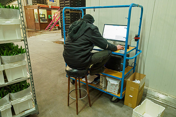 De Wit Bloembollen Bart Fotografie 230119-140