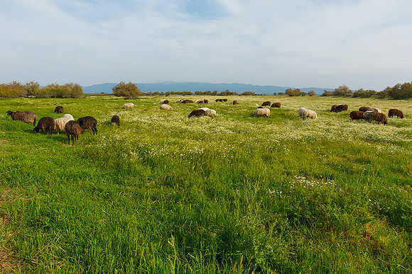 Lesbos Bart Fotografie 2009-290