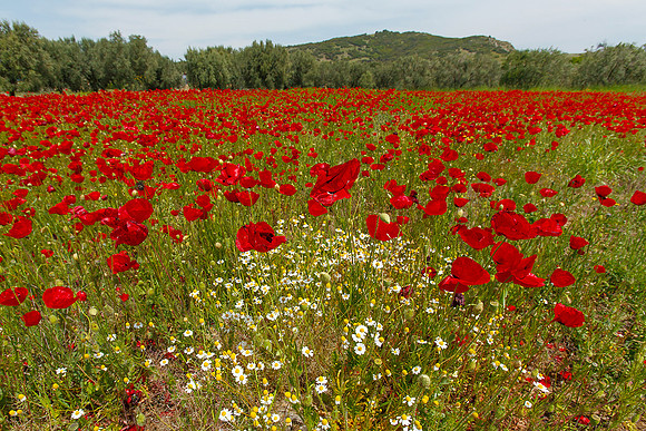 Lesbos Bart Fotografie 2009-284