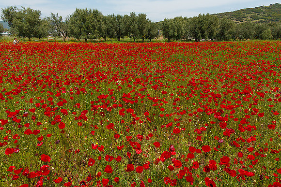 Lesbos Bart Fotografie 2009-285
