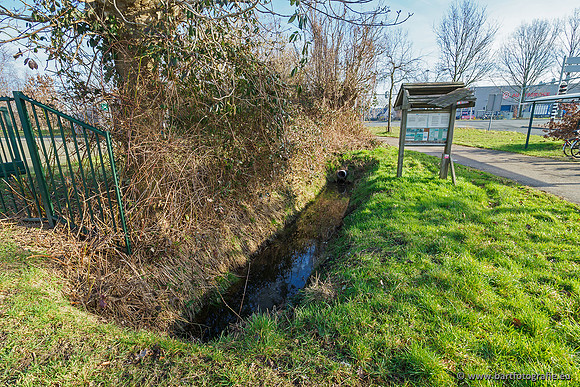 Nergenase beek bij Bennekom 170219-002