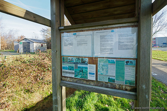 Nergenase beek bij Bennekom 170219-003