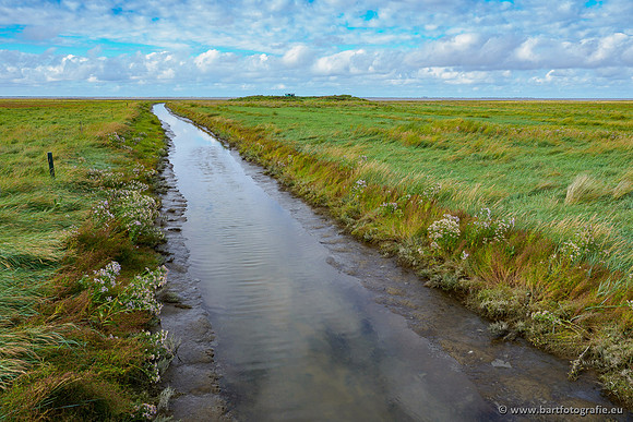 Friesland september 2020 Bart Fotografie-108