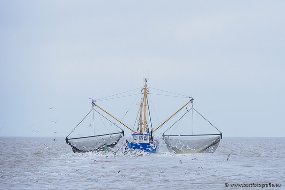Friesland september 2020 Bart Fotografie-123