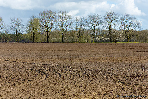 Bart Fotografie manisch maaien-04