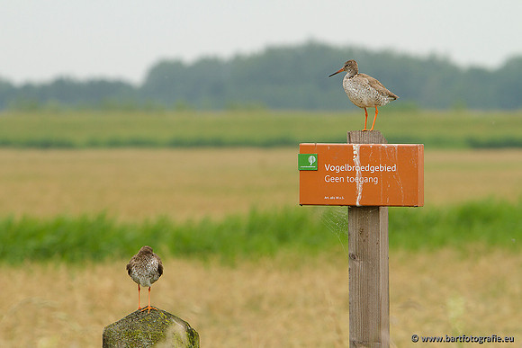 Bart Fotografie manisch maaien-05