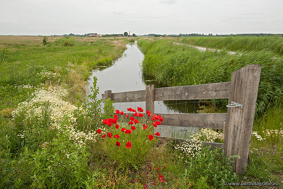 Bart Fotografie manisch maaien-07