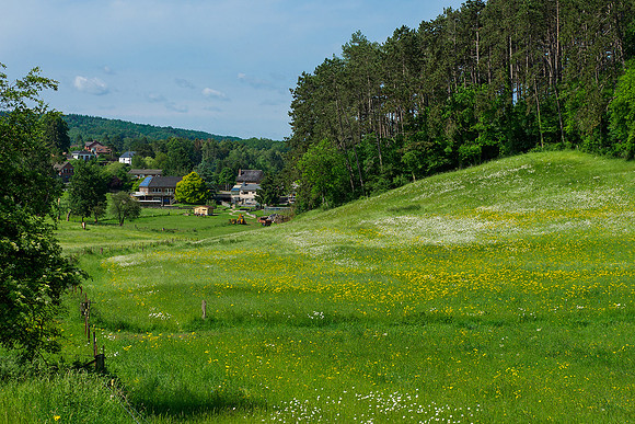 Viroinval, juni 2019, Bart Fotografie-003