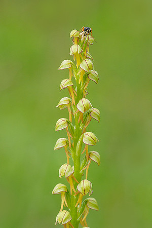 Viroinval, juni 2019, Bart Fotografie-042