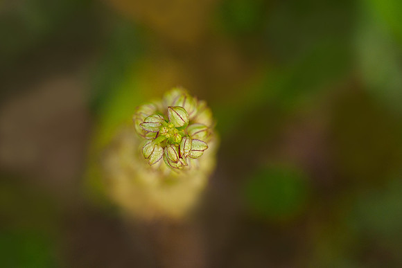 Viroinval, juni 2019, Bart Fotografie-047