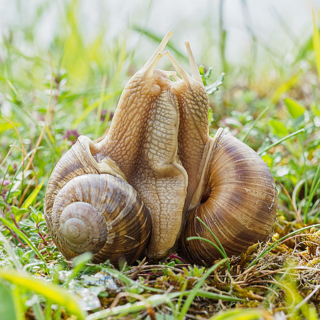 Viroinval, juni 2019, Bart Fotografie-151