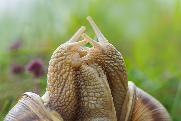 Viroinval, juni 2019, Bart Fotografie-152