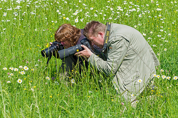 Viroinval, juni 2019, Bart Fotografie-184