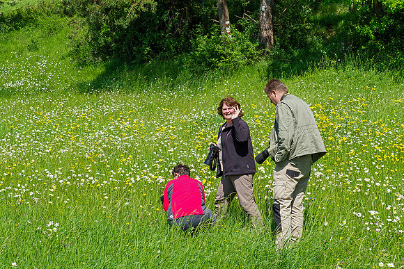 Viroinval, juni 2019, Bart Fotografie-185