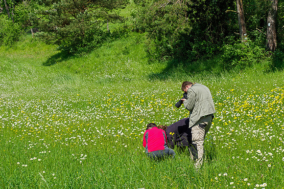 Viroinval, juni 2019, Bart Fotografie-186