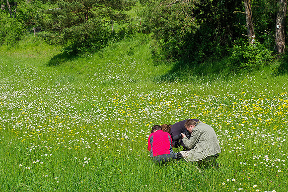 Viroinval, juni 2019, Bart Fotografie-187