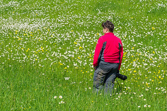 Viroinval, juni 2019, Bart Fotografie-188