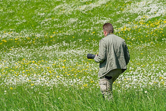 Viroinval, juni 2019, Bart Fotografie-190