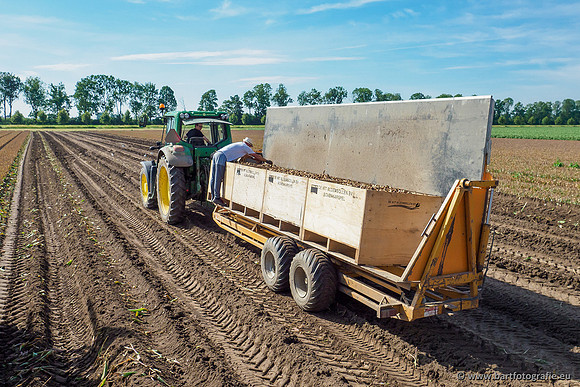 De Wit bloembollen 240619-039