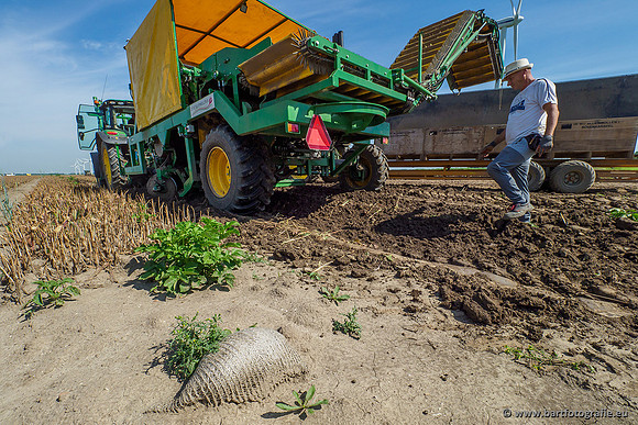 De Wit bloembollen 240619-081