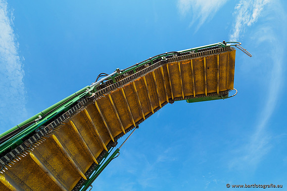 De Wit bloembollen 240619-094