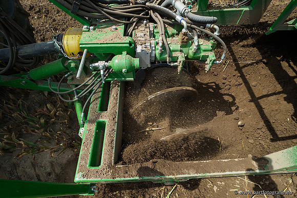 De Wit bloembollen 240619-120