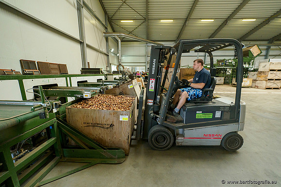 De Wit Bloembollen 020719-050
