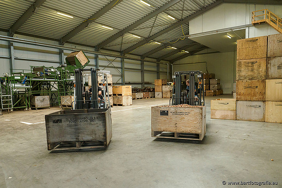 De Wit Bloembollen 020719-051