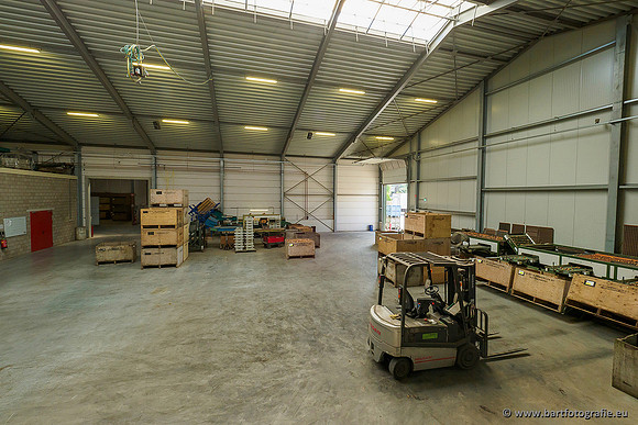 De Wit Bloembollen 020719-052